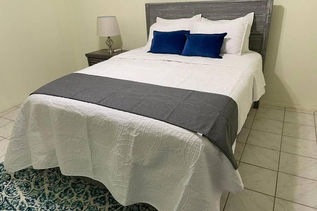 Beautiful Caribbean 3 Bedroom Home In St. Croix Christiansted Dış mekan fotoğraf